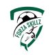 forza skill